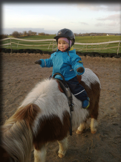 bild-10